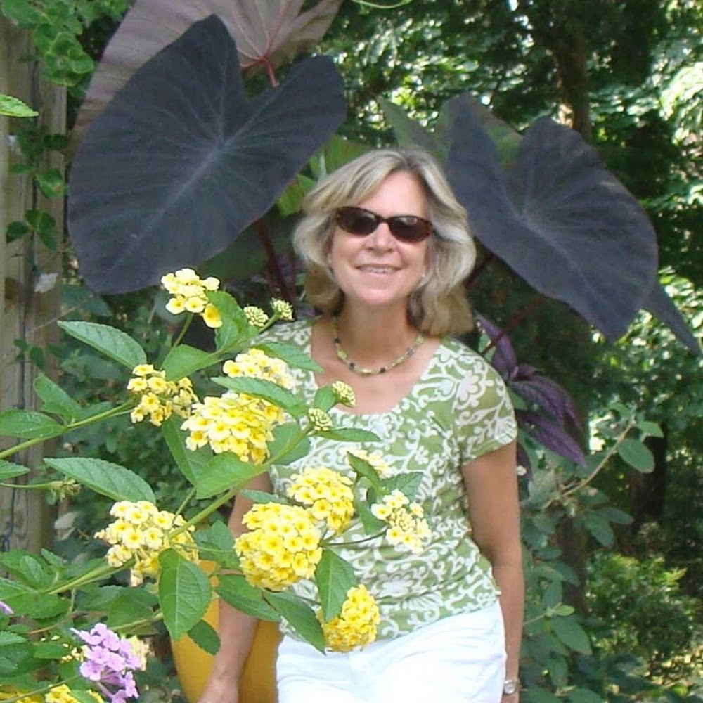 Meet your Posher, Ann